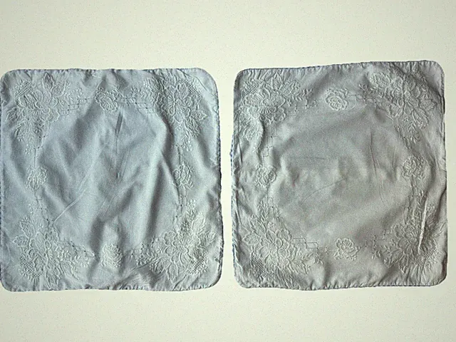 Embroidered White Cotton Pillow Shams Pair Blue Gingham Trim Cottage 15" Square