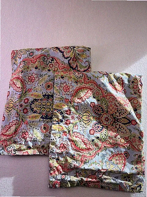 Pottery Barn Set of 2 Standard Pillow Shams Paisley & Gingham Red Blue 26x20