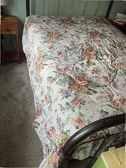 Vintage Cottage Roses Green Gingham Shabby Chic Style Bedspread Comforter Queen